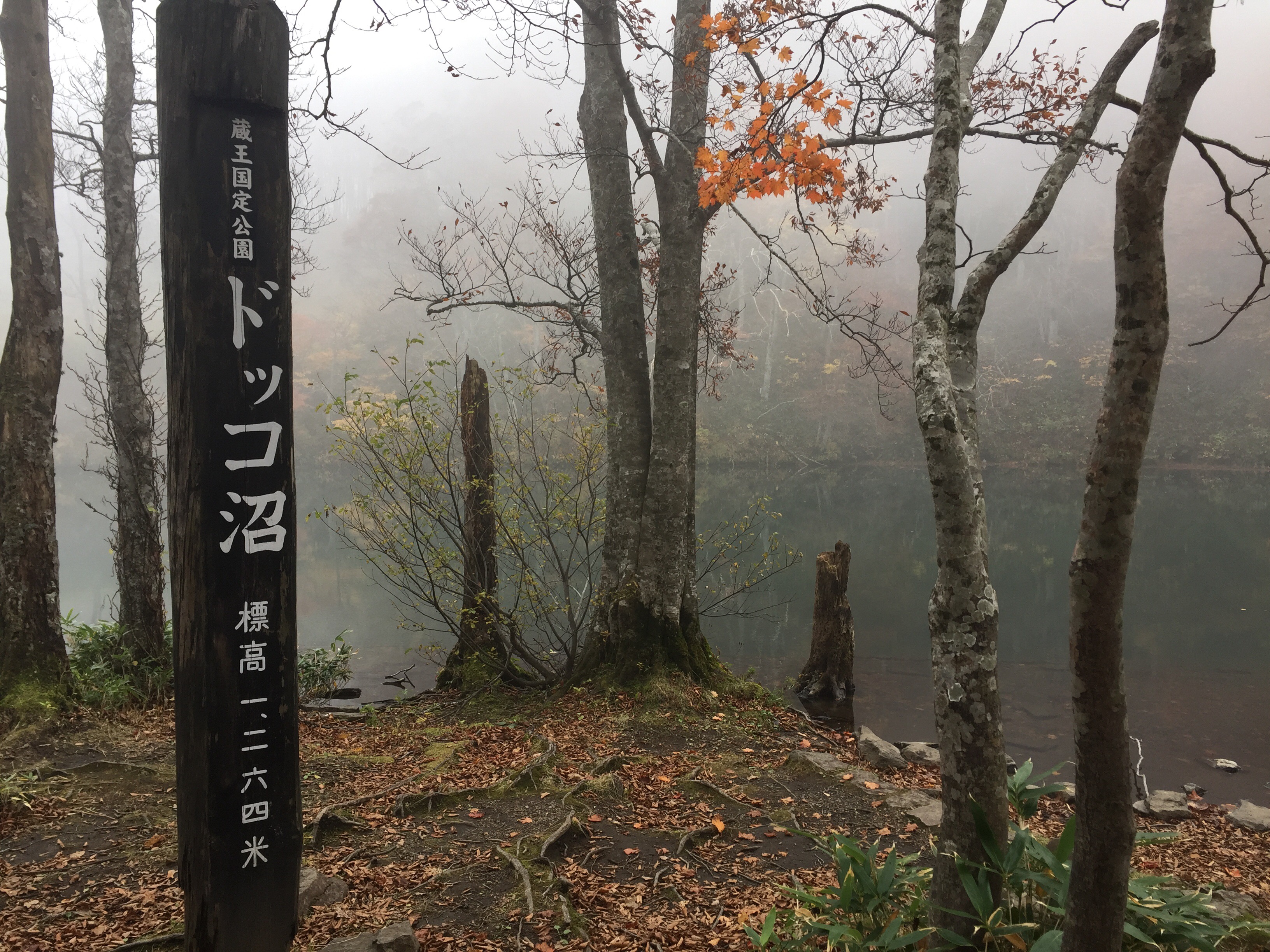 蔵王　ドッコ沼