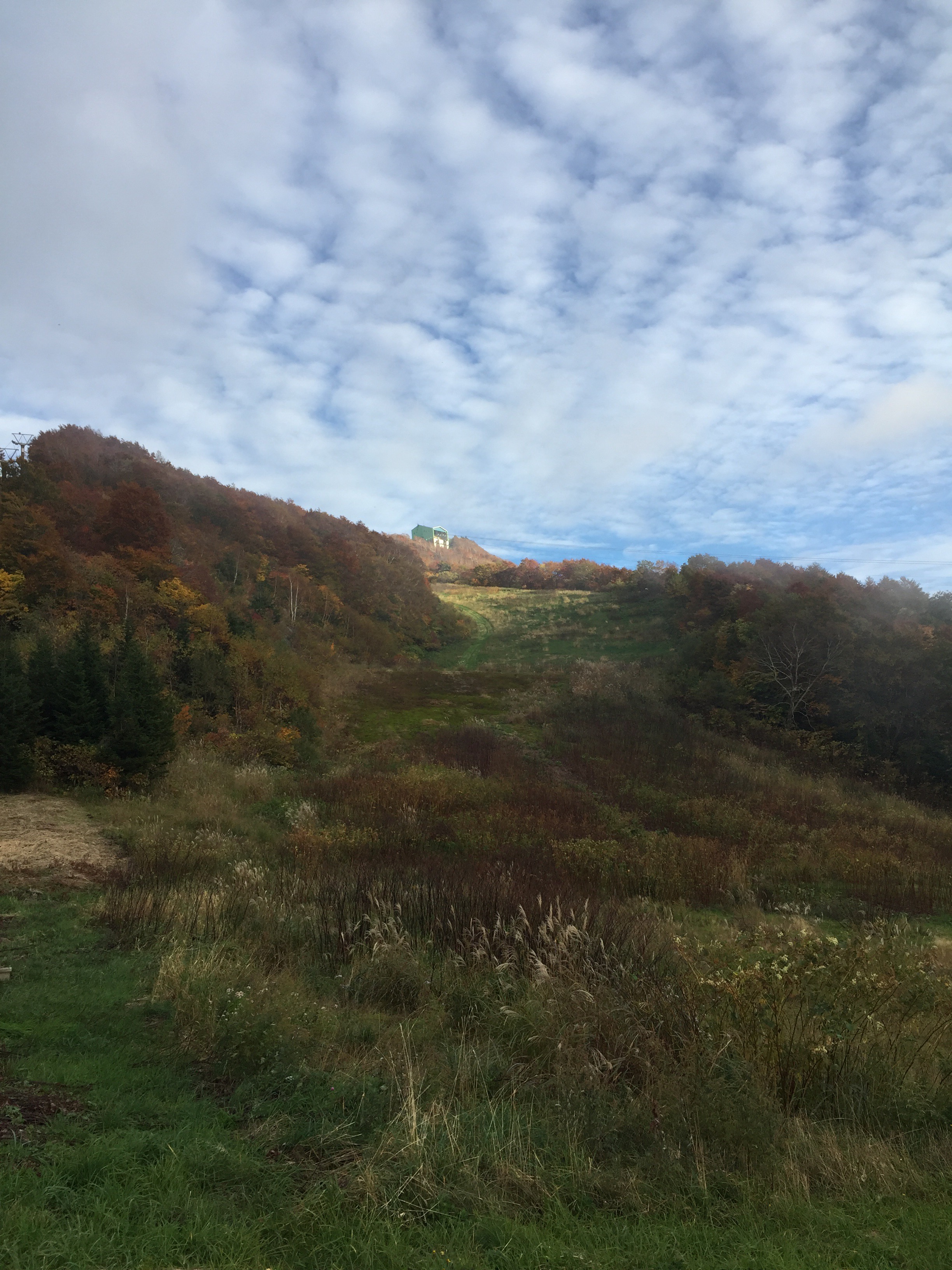 蔵王連邦　鳥兜山