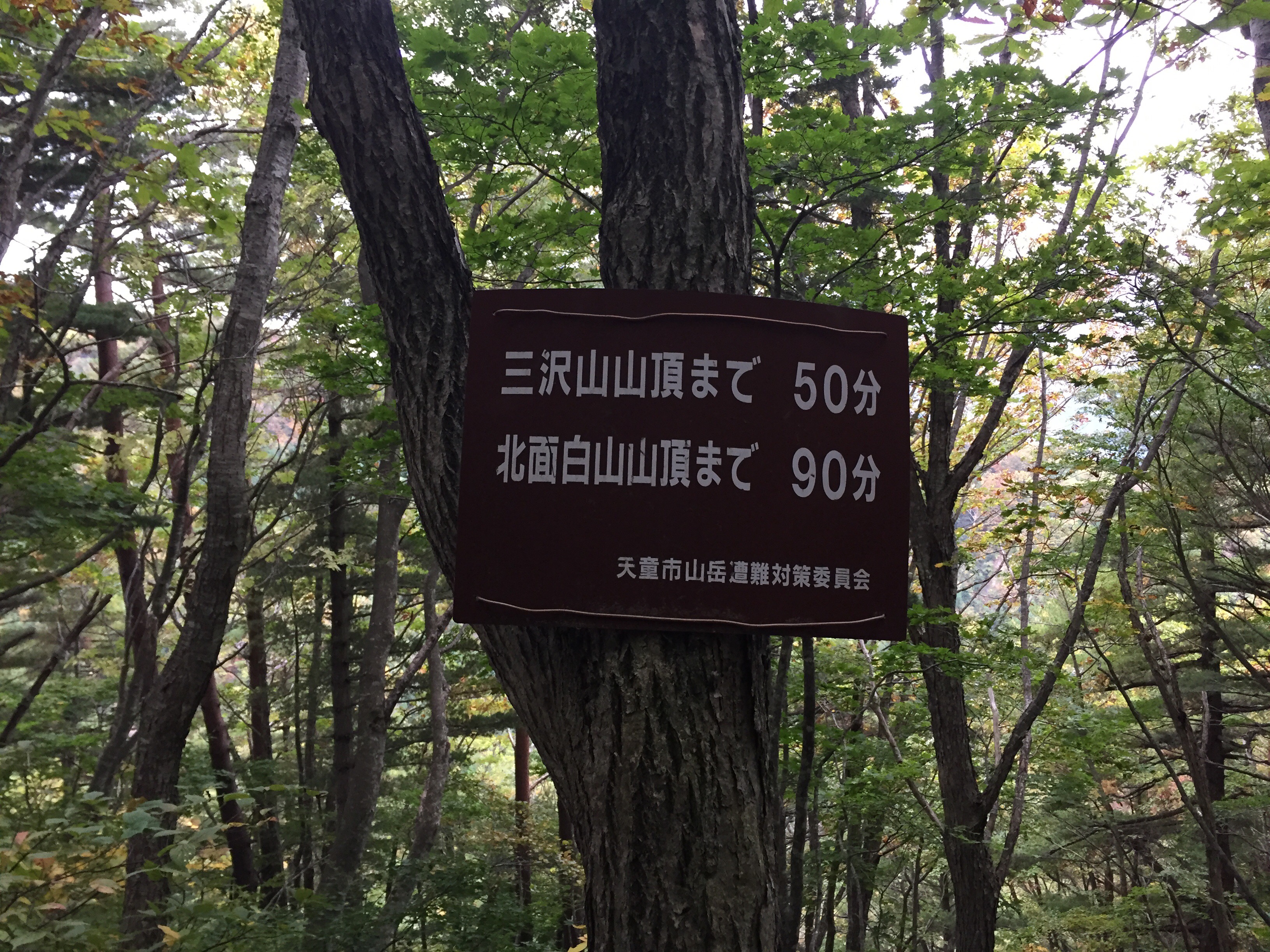 北面白山　三沢山　西尾根コース