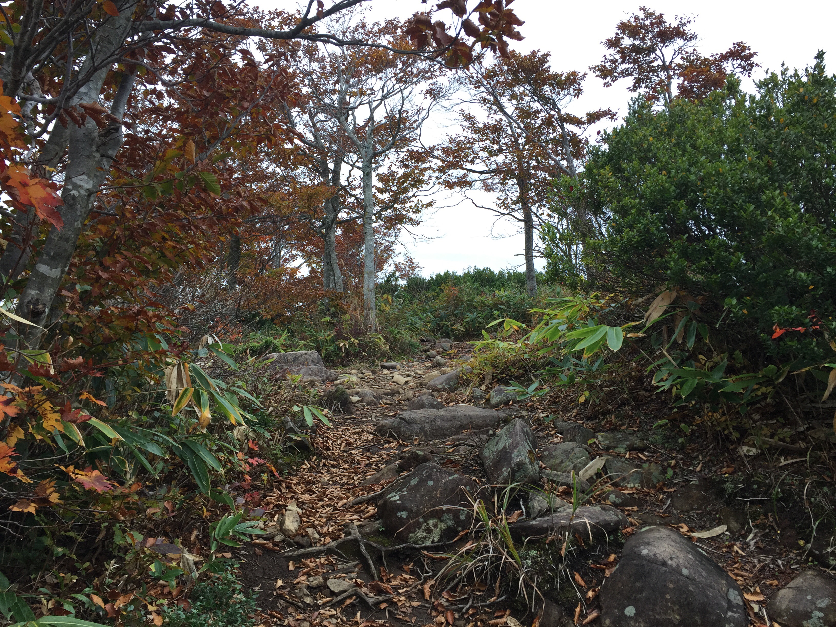 北面白山　西尾根コース　三沢山