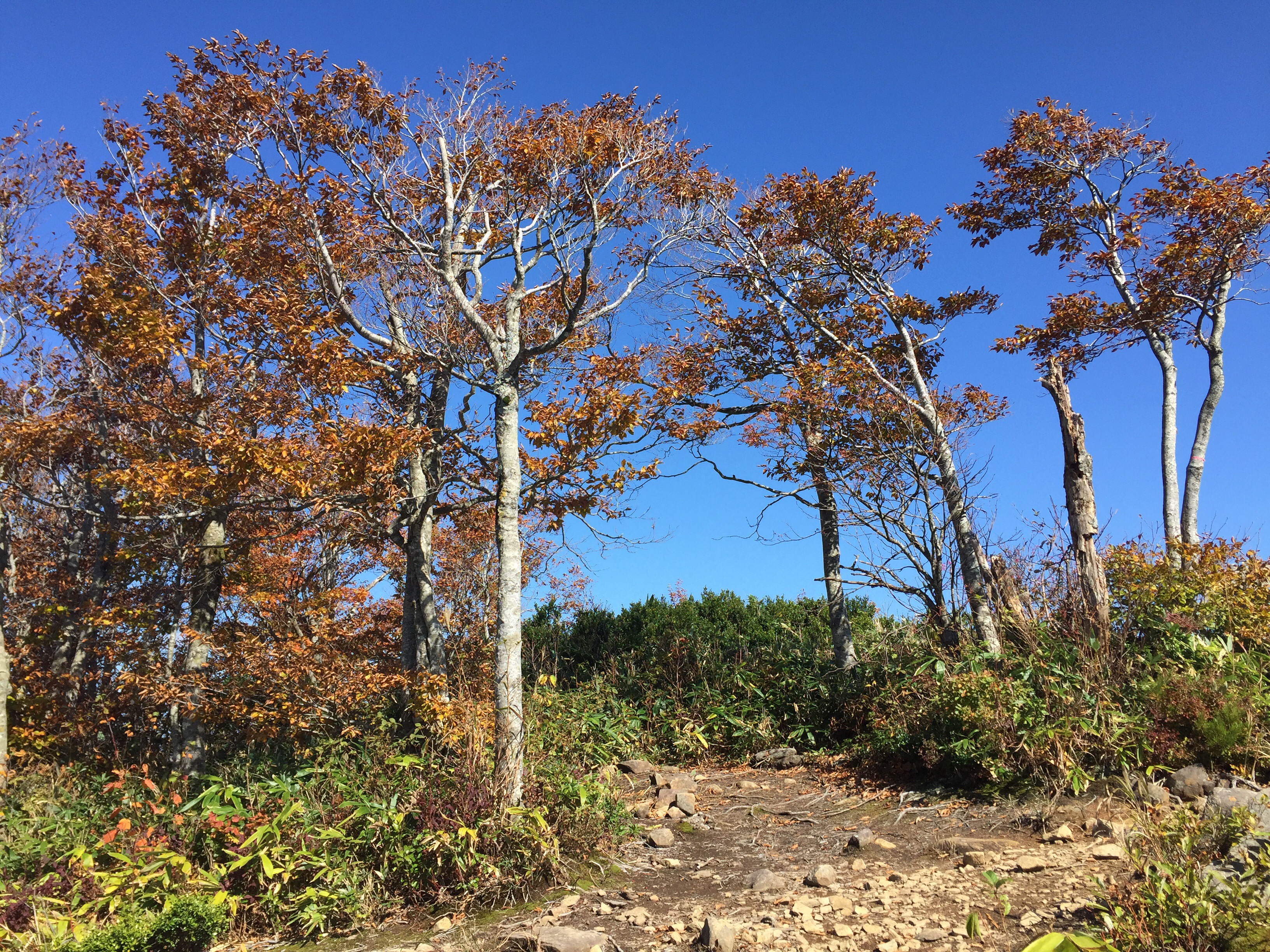 山形　三沢山　山頂