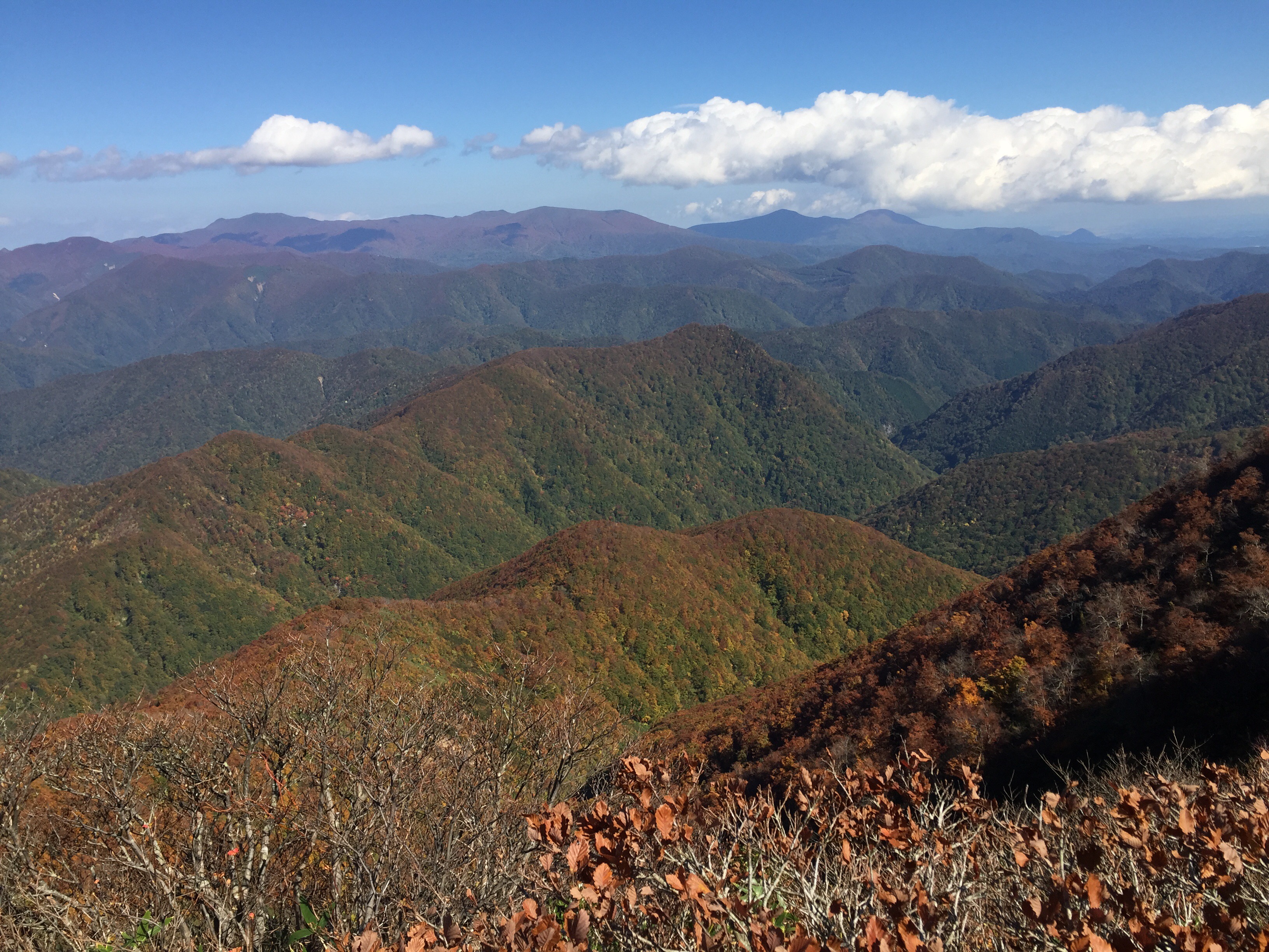 山形百名山　北面白山　山頂