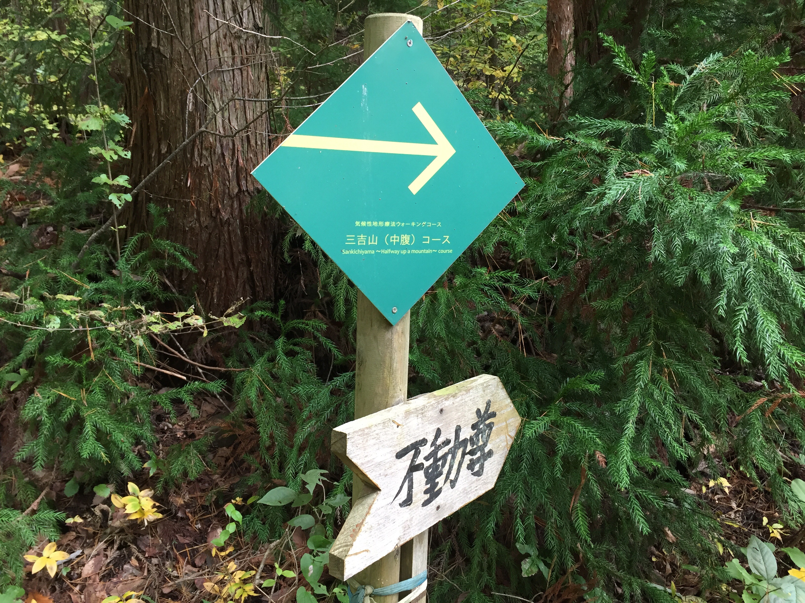 山形百名山　三吉山　登山コース