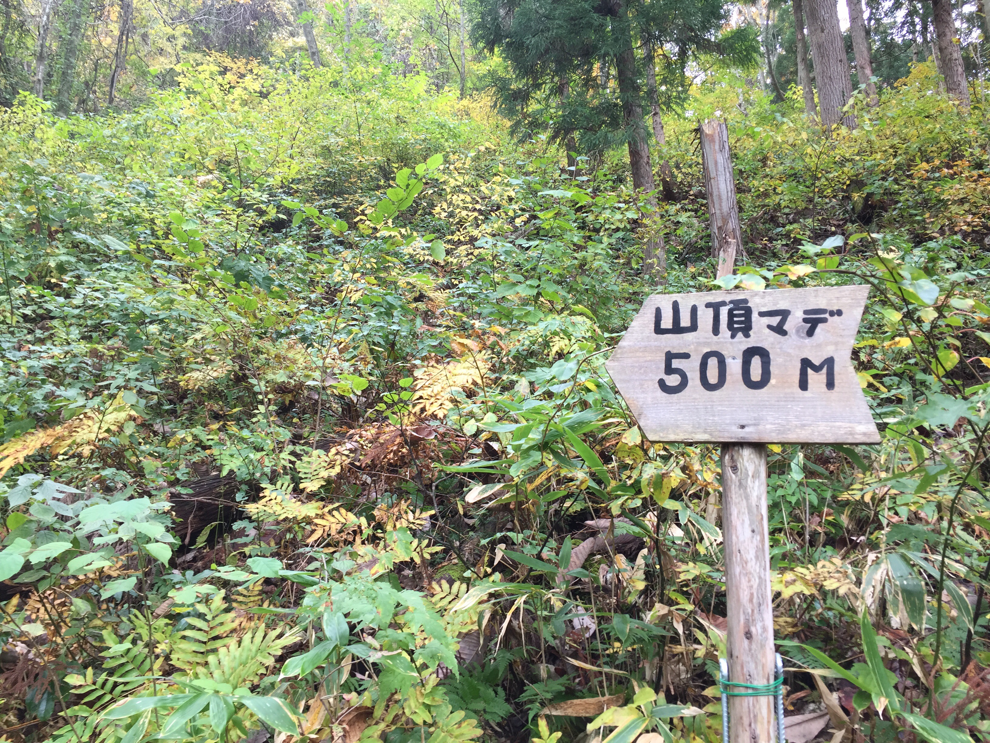 山形百名山　三吉山　登山コース