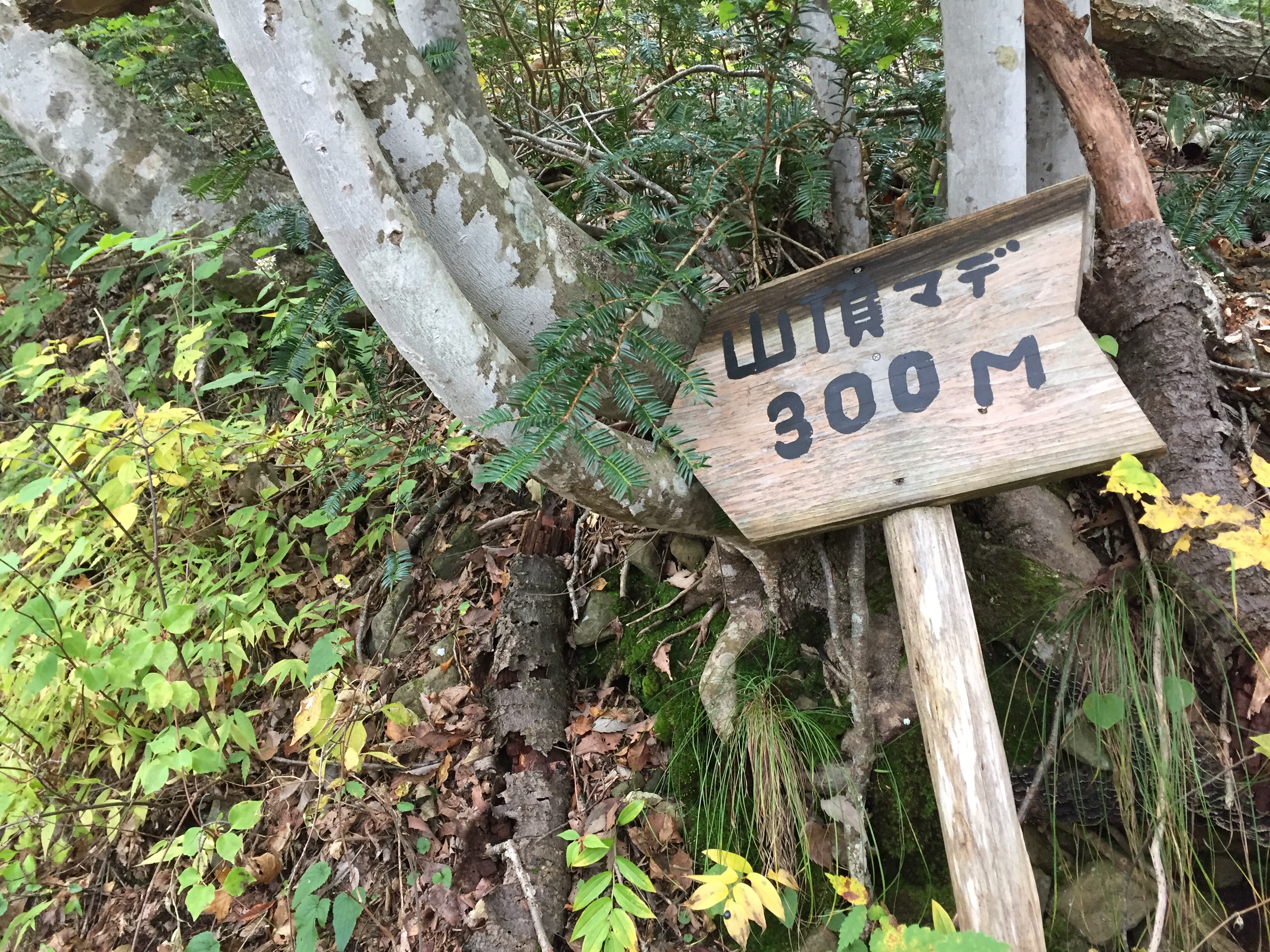 山形百名山　三吉山　登山コース