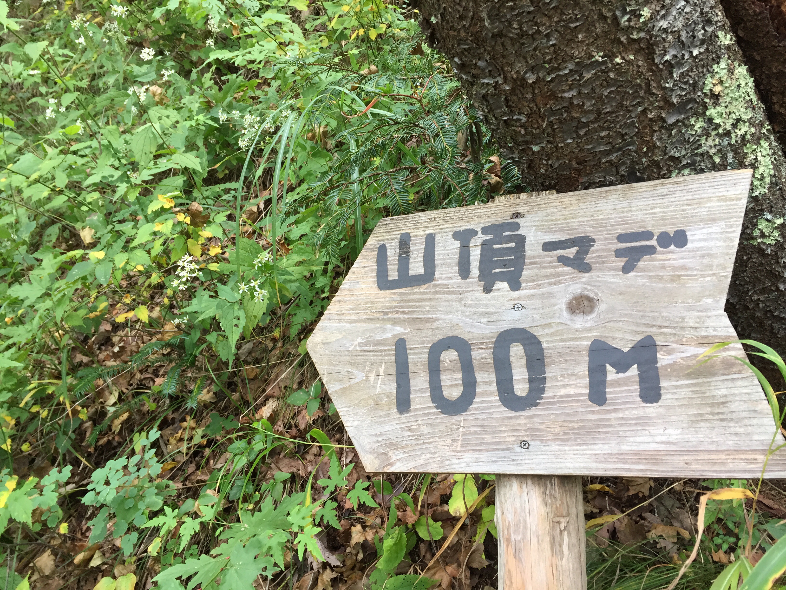 山形百名山　三吉山　登山コース