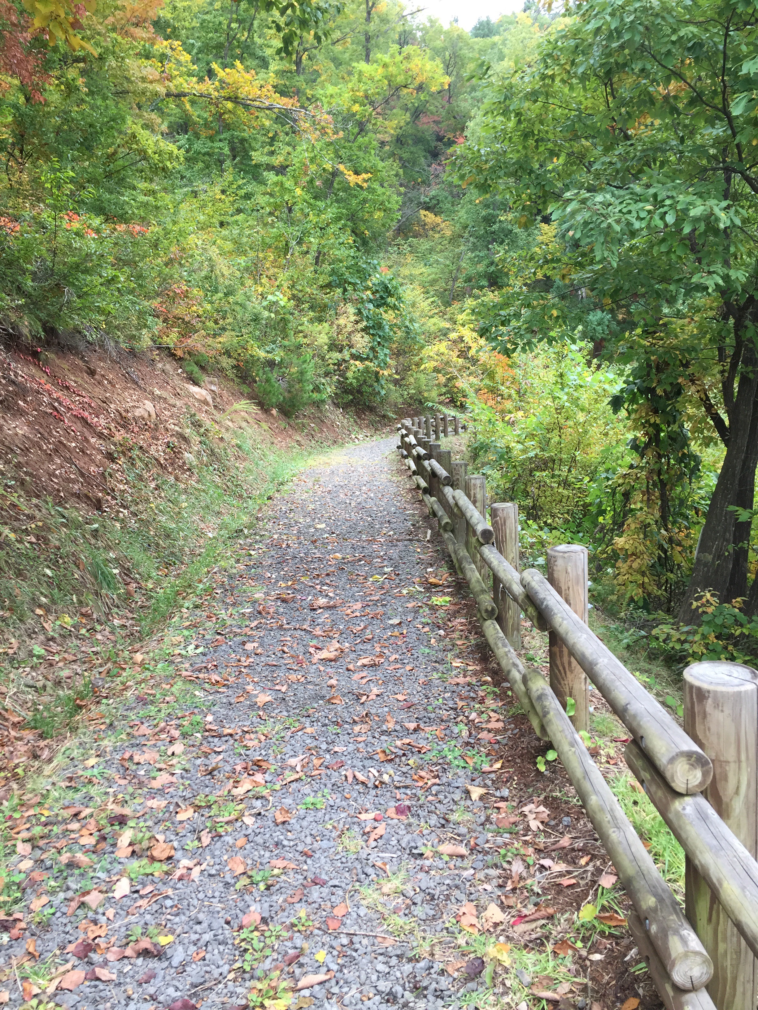 山形百名山　三吉山　登山コース
