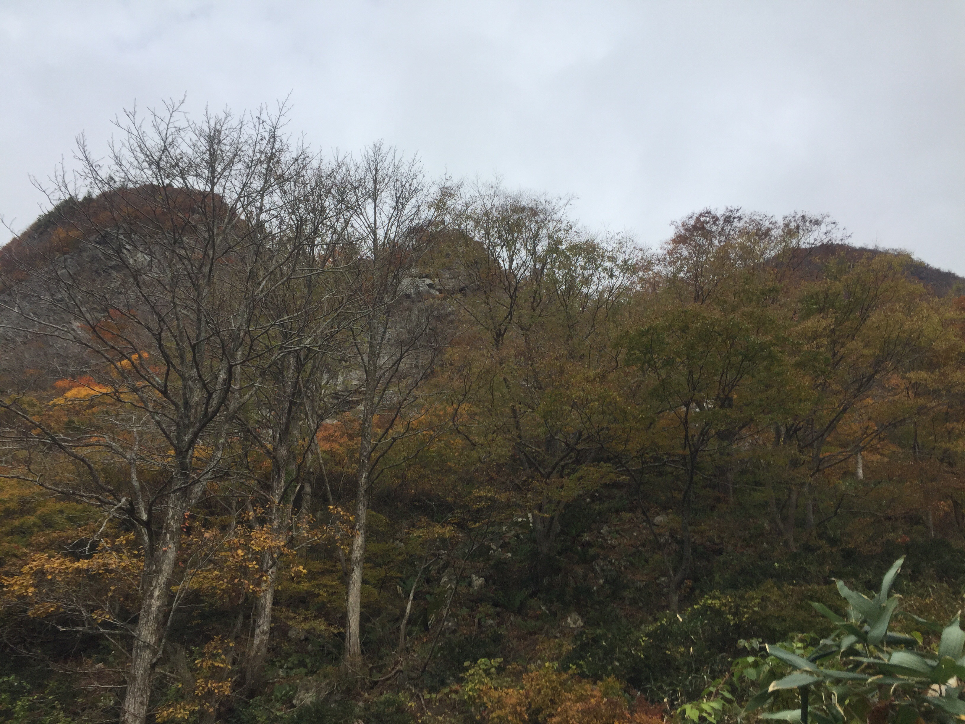 二ツ森　山形百名山