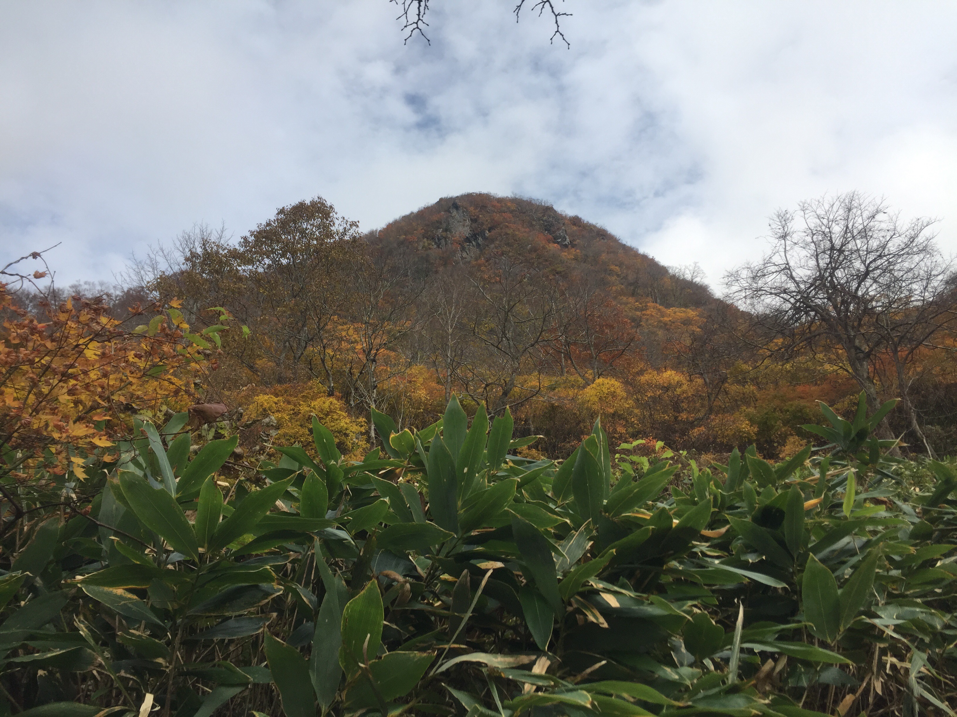 二ツ森　山形百名山　北峰　男山