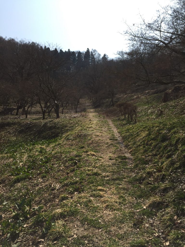 舞鶴山　山形百名山　登山道