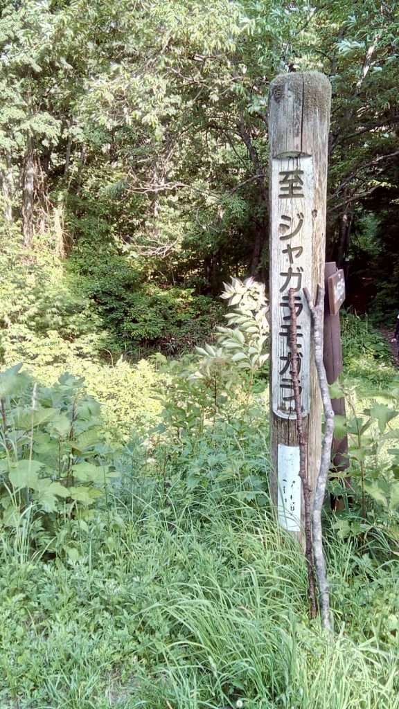 ジャガラモガラ　散策コース