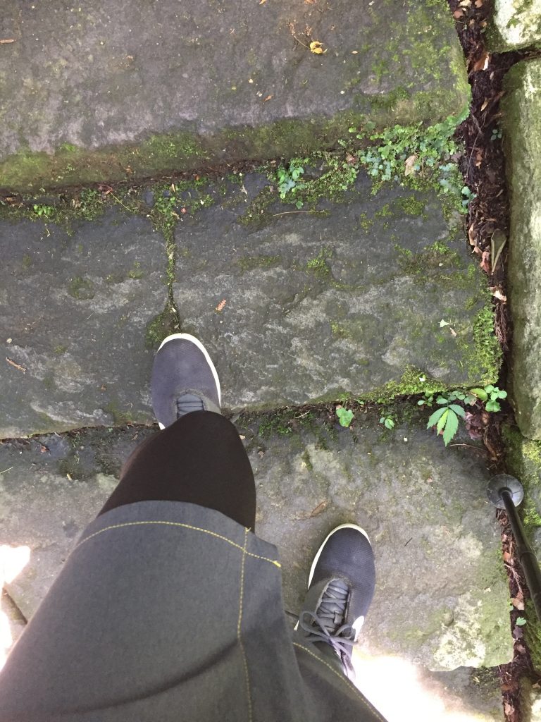 羽黒山　登山道　石段