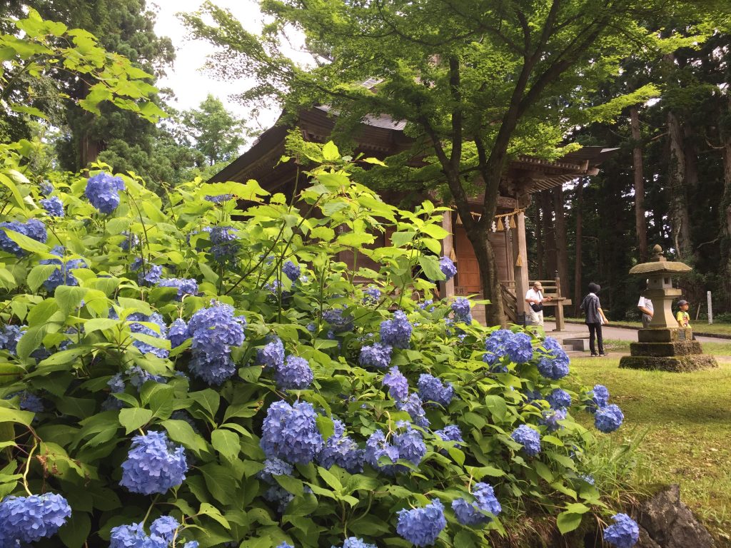 羽黒山　山頂　神社
