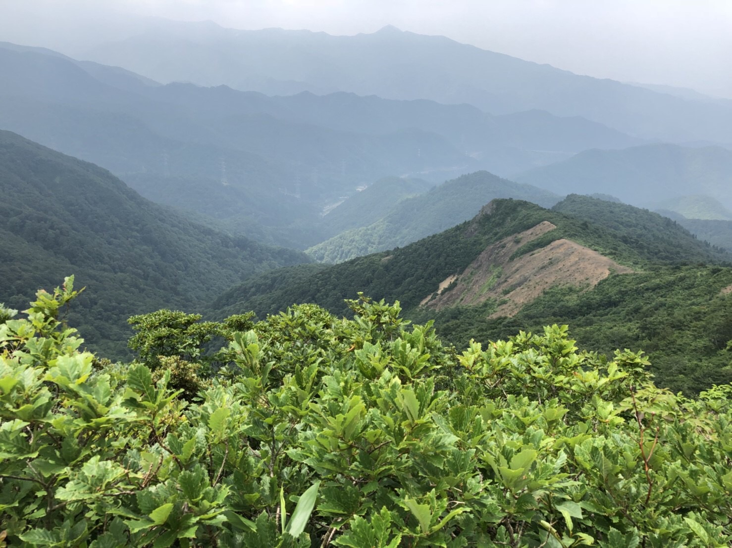 山形神室岳　山形百名山　登山道