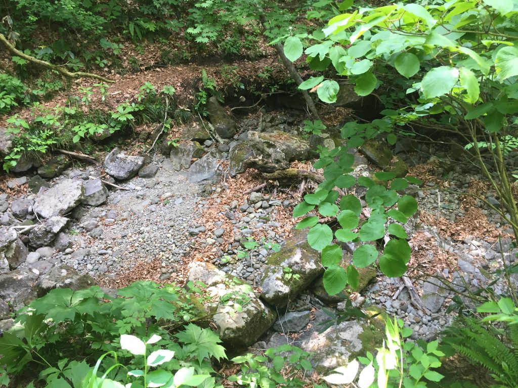雁戸山　山形百名山　登山道