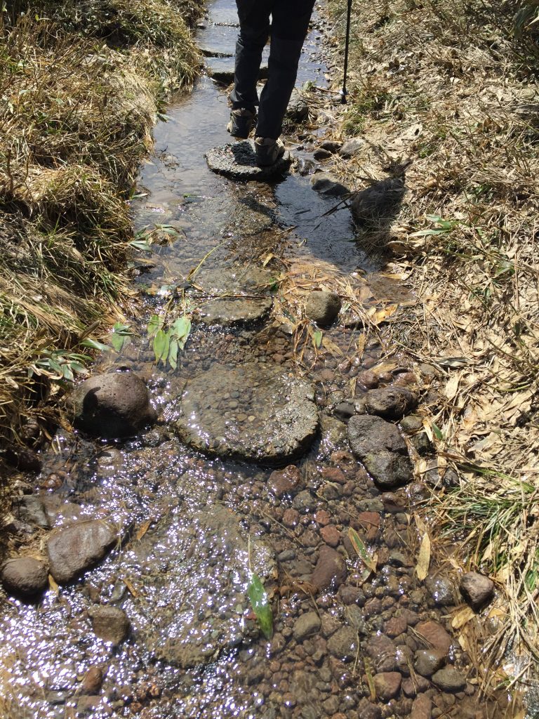月山　日本百名山　山形百名山　登山道