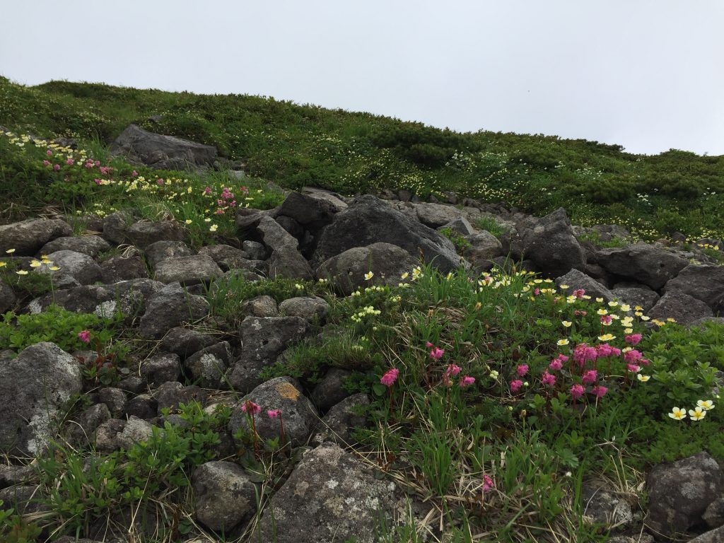 月山　日本百名山　山形百名山