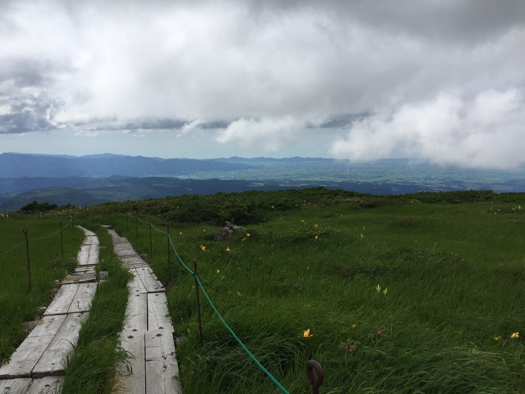 月山　日本百名山　山形百名山　ニッコウキスゲ
