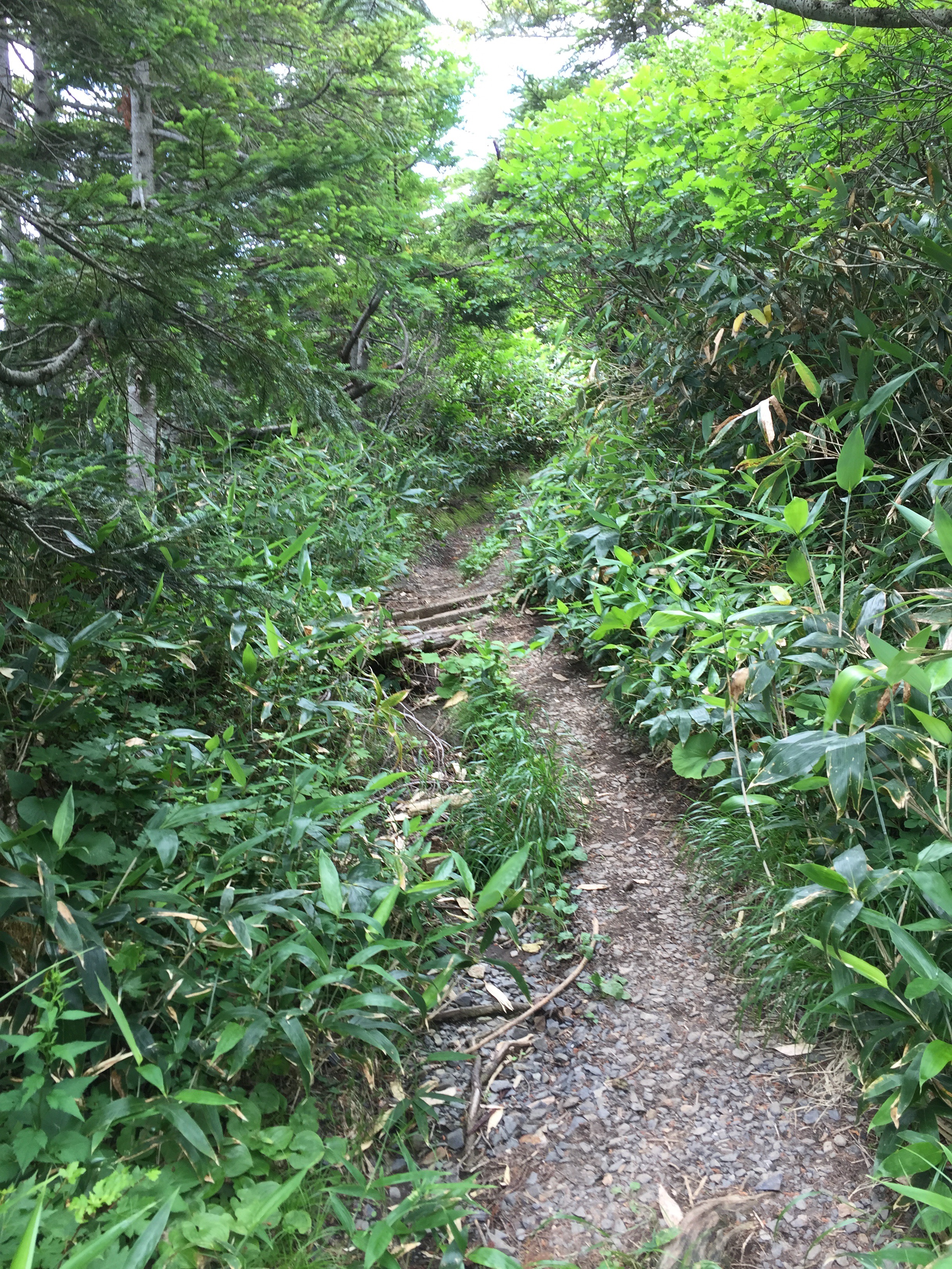 蔵王　熊野岳　日本百名山　山形百名山　登山道