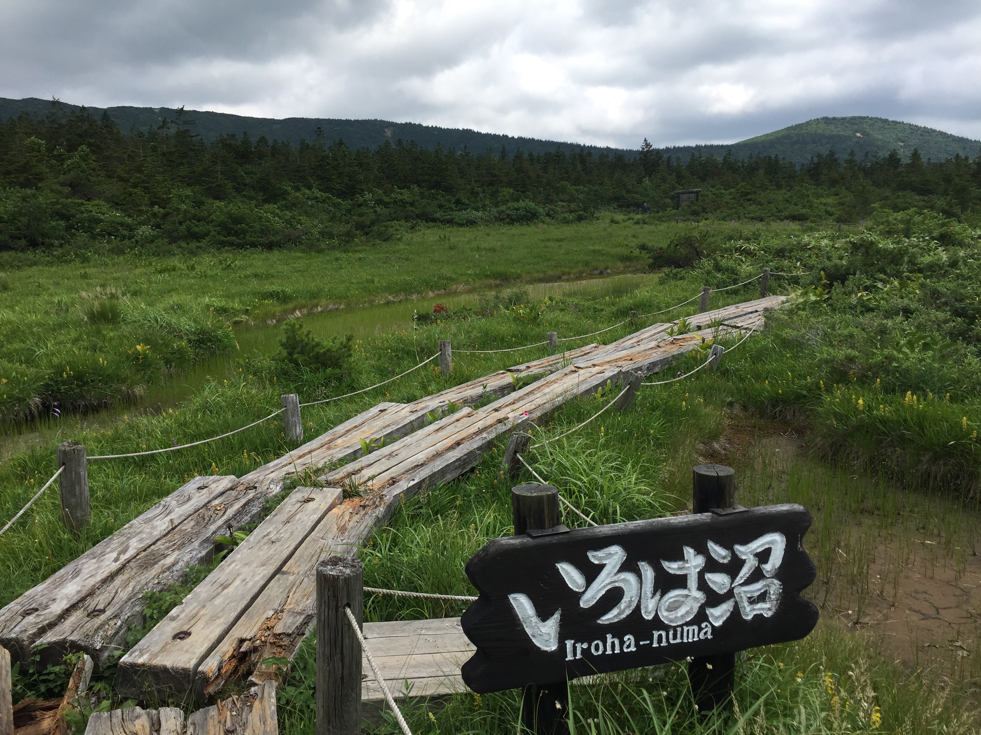 蔵王　熊野岳　日本百名山　山形百名山　登山道　いろは沼