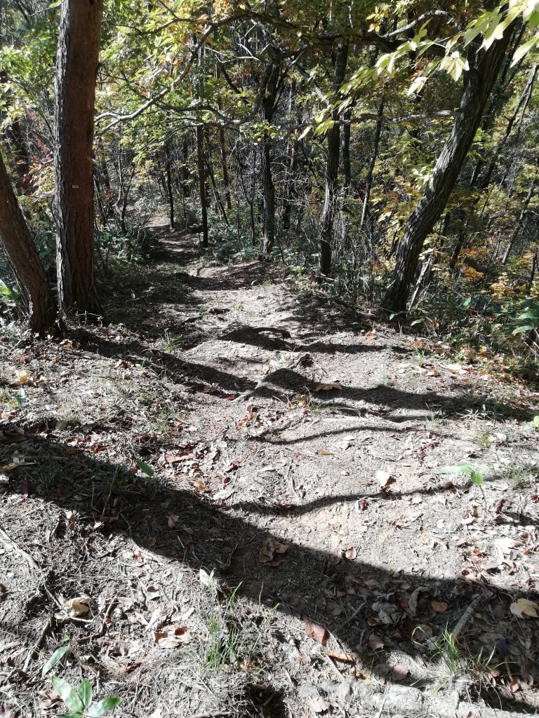 高取山　山形百名山　登山道　心臓破りの坂
