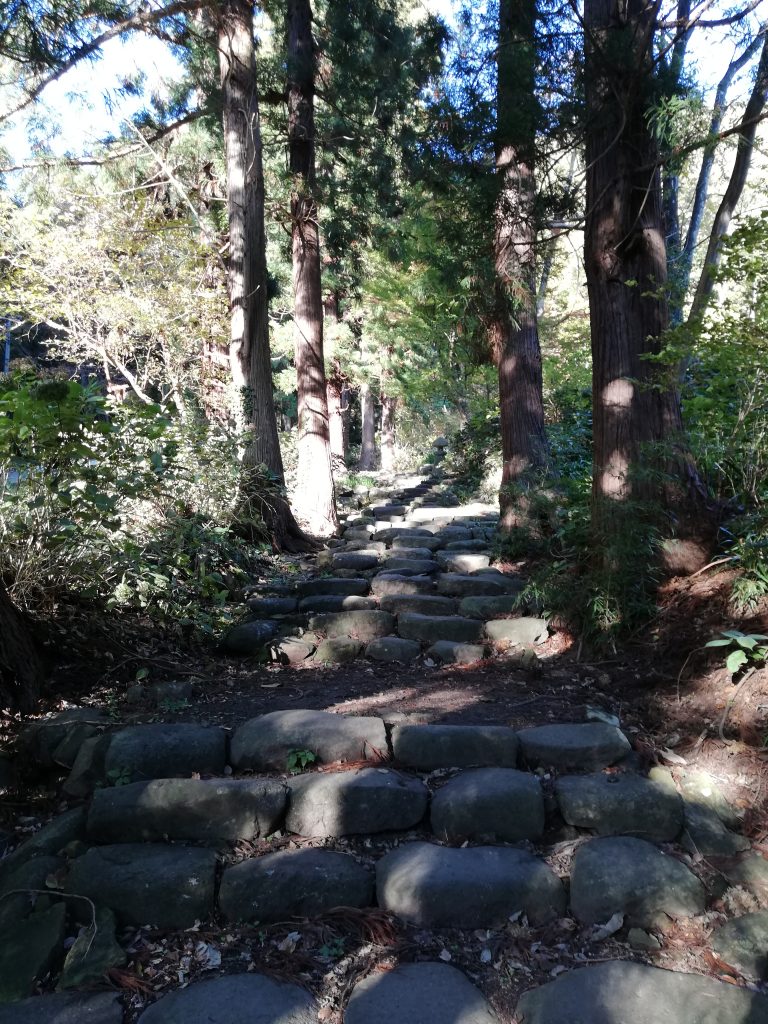 盃山　山形百名山　登山道　愛宕神社