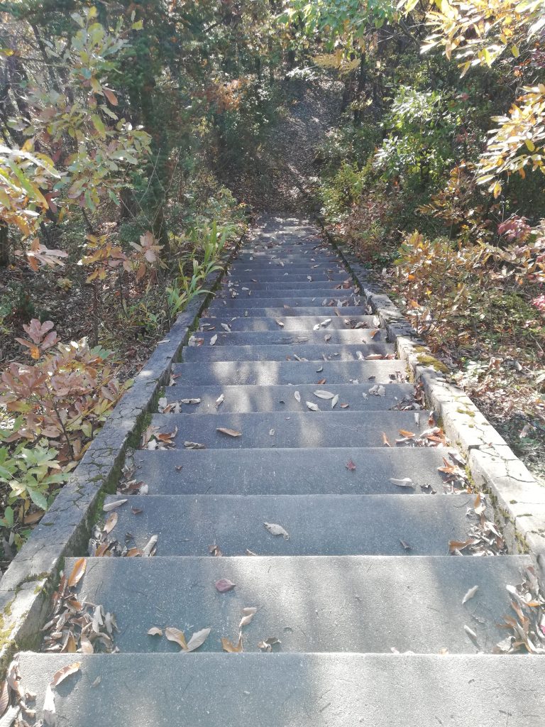 盃山　山形百名山　登山道