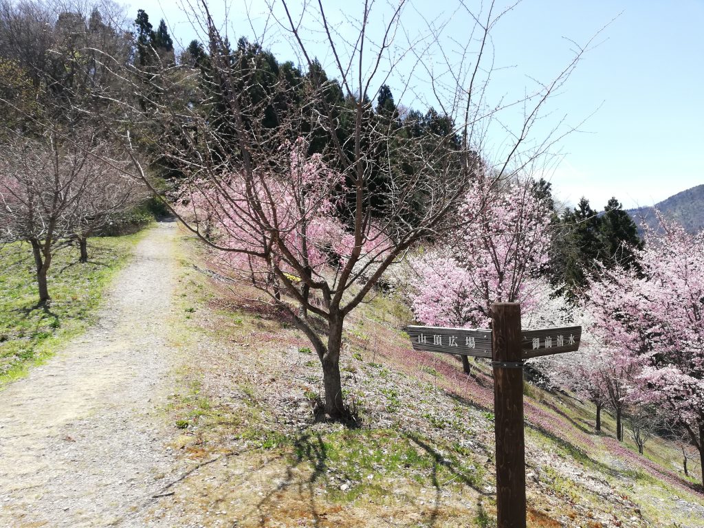 城山　長谷堂城跡　山形百名山　登山道