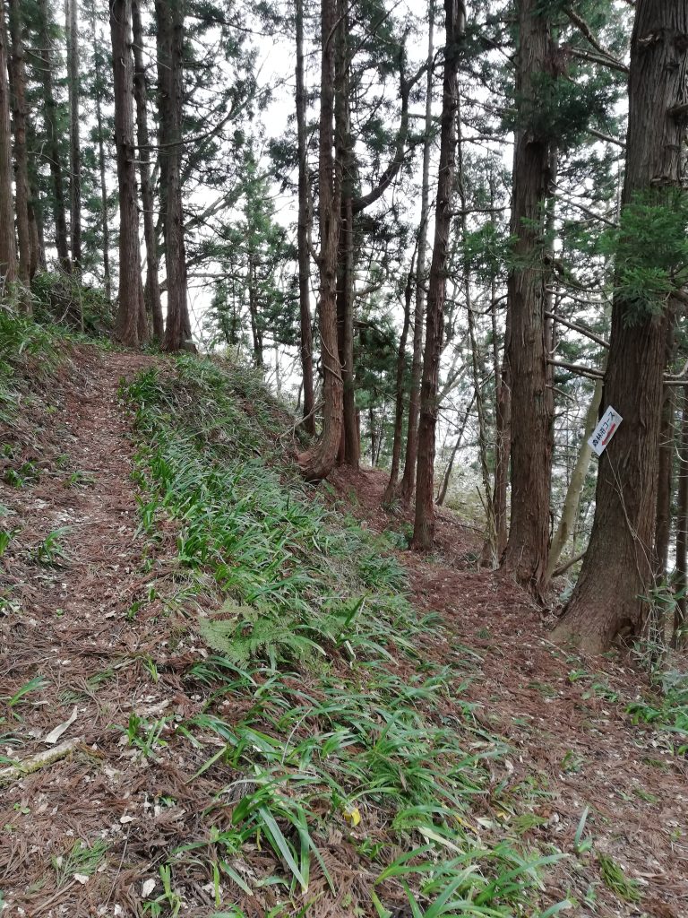 楯山　山形百名山　登山道