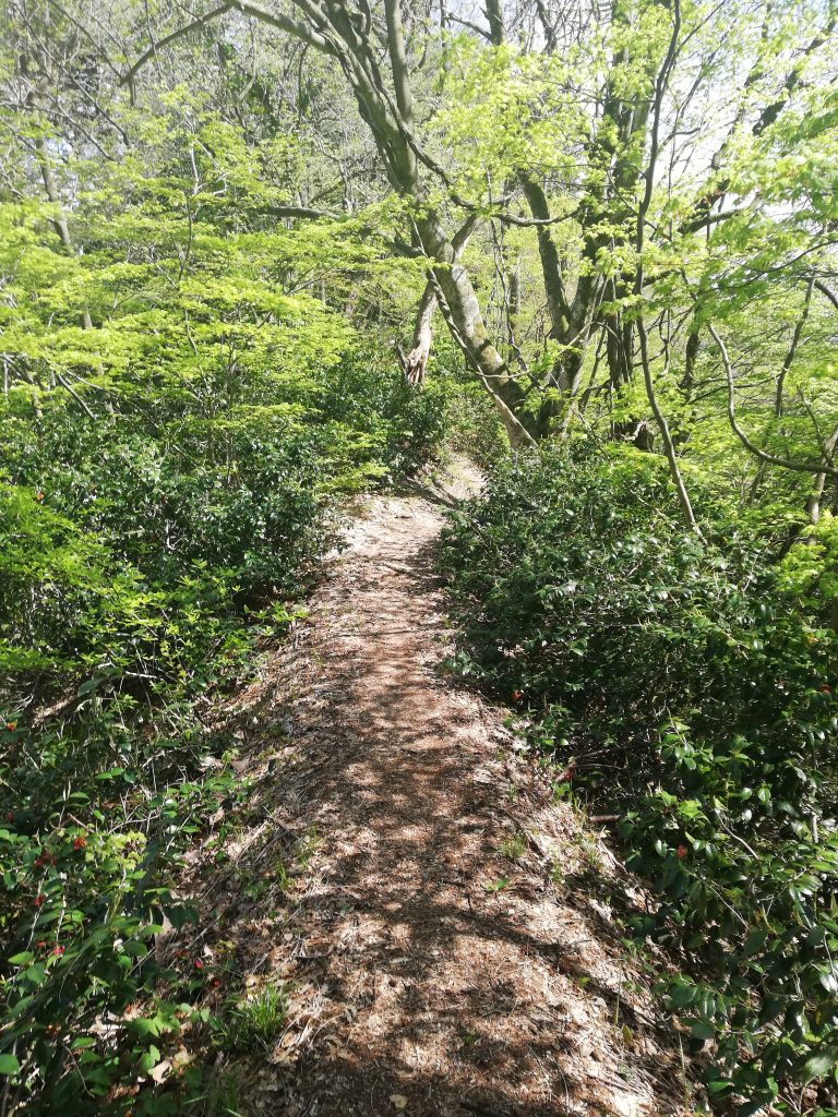 日本国　山形百名山　登山道