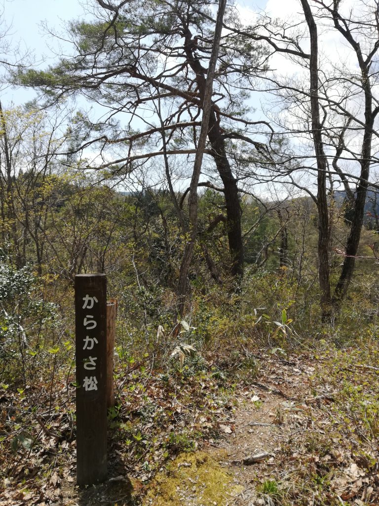 天狗山　山形百名山　登山道　からかさ松