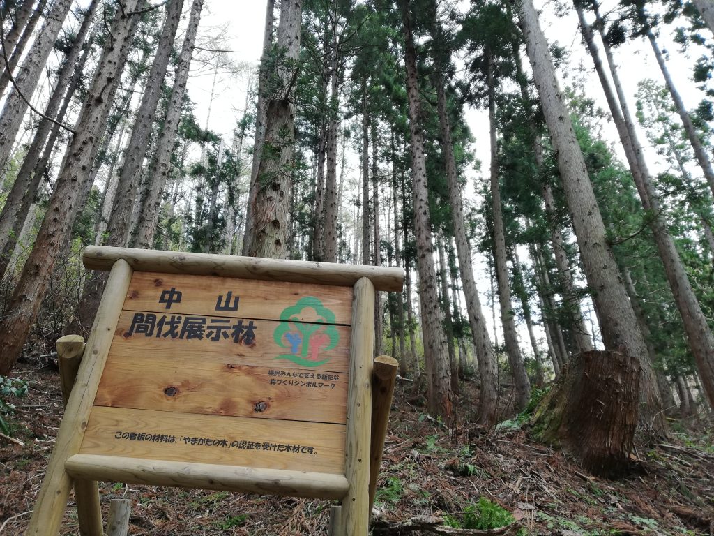 白鷹山　山形百名山　中山間伐展示林