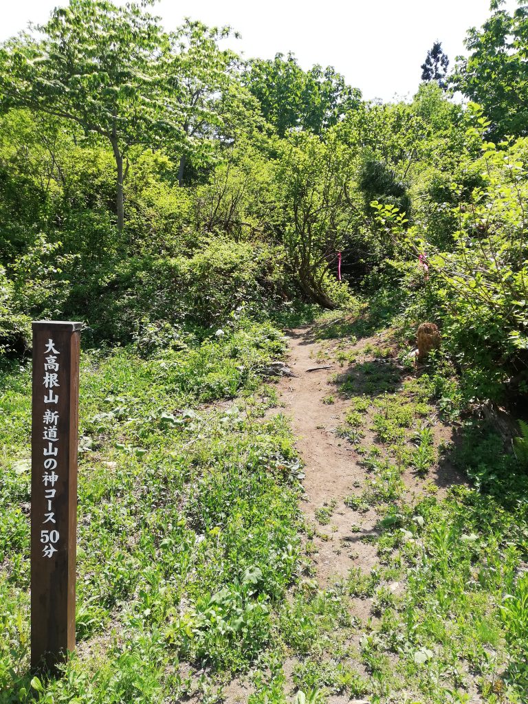 大高根山　山形百名山　登山口