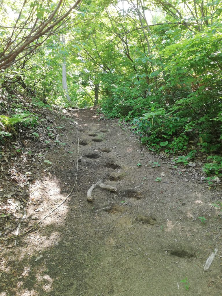 大高根山　山形百名山　登山道