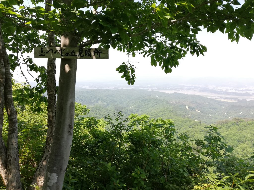 大高根山　山形百名山　山つつじの丘見晴所